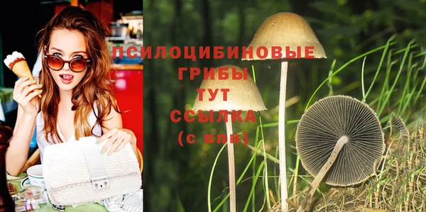 эйфоретик Балахна