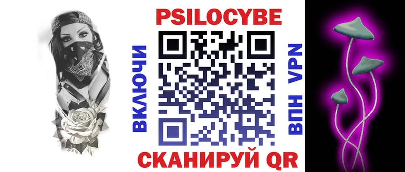 закладки  Тетюши  Псилоцибиновые грибы Psilocybe 